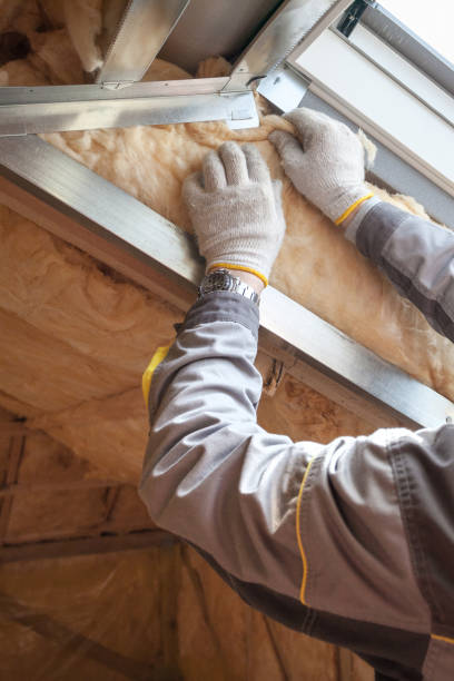 Best Types of Insulation in Eldridge, IA