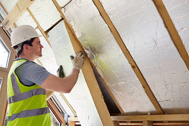 Best Insulation Maintenance and Repair in Eldridge, IA